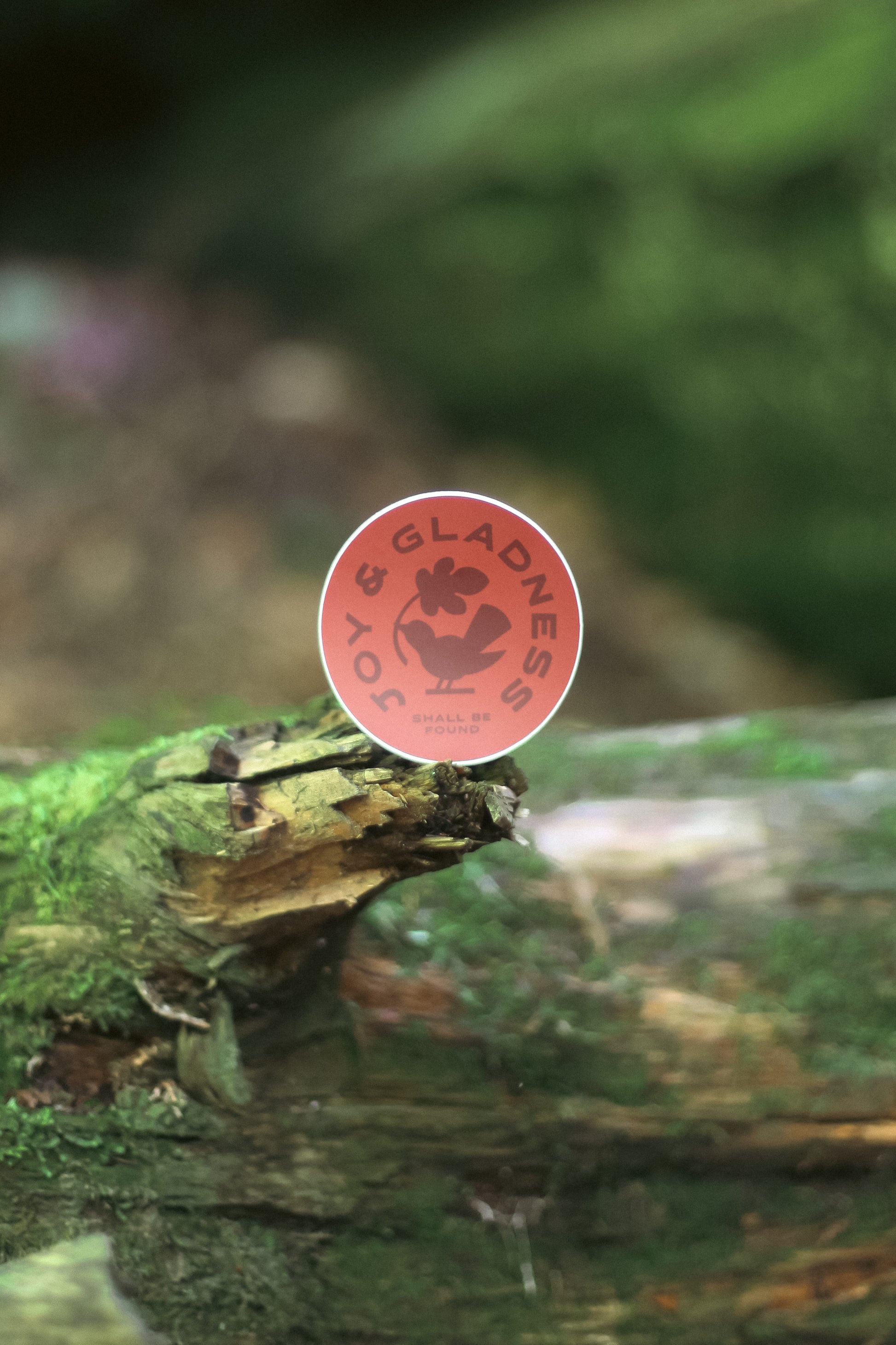 'Joy & Gladness' Vinyl Sticker